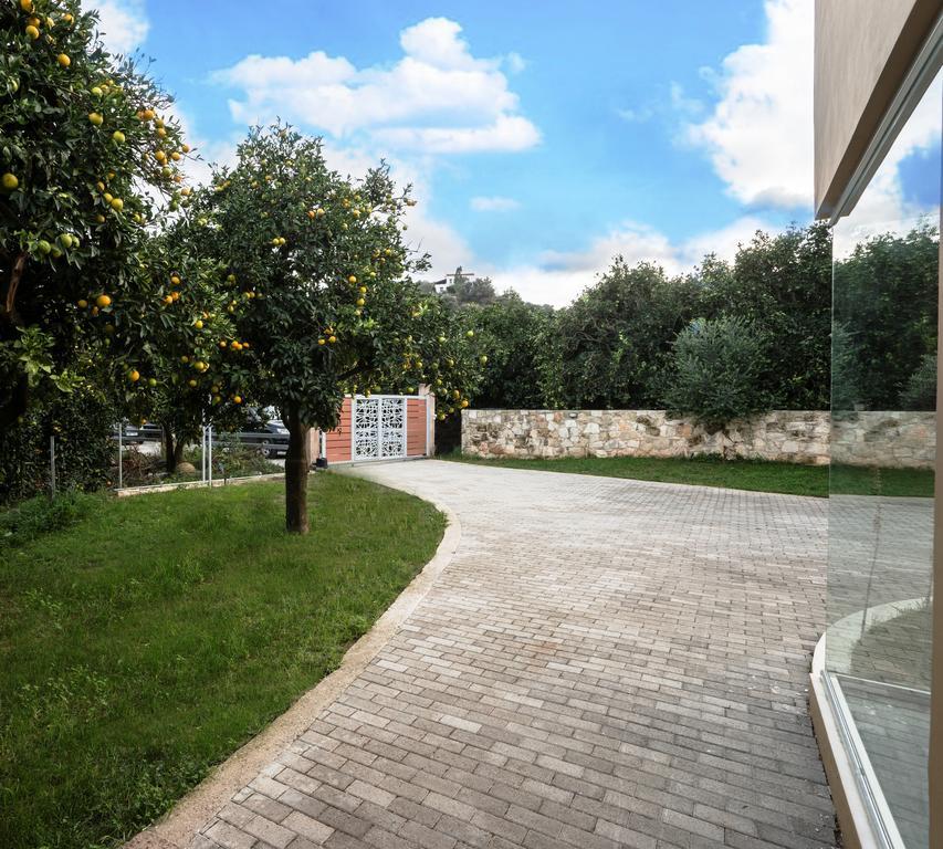 Villa Casa Di Verde Patellari Bagian luar foto